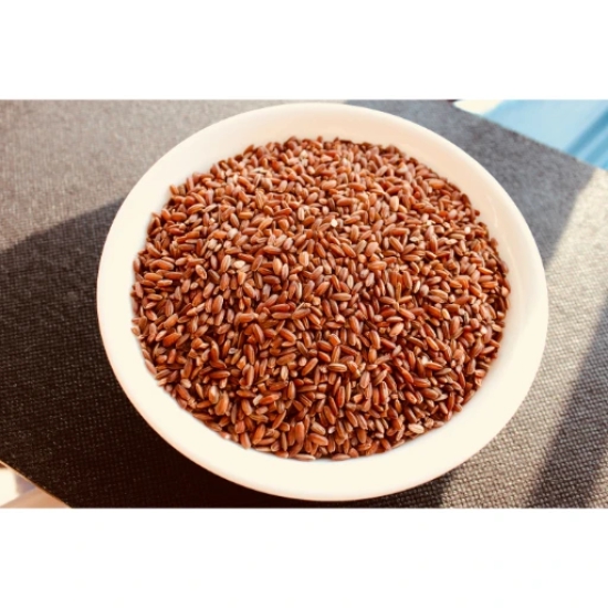 Nature Concept Navara Rice (Red Rice) 1 kg