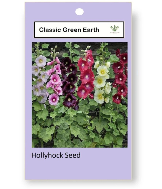 CLASSIC GREEN EARTH - Hollyhock Mixed Flower ( 20 Seeds )