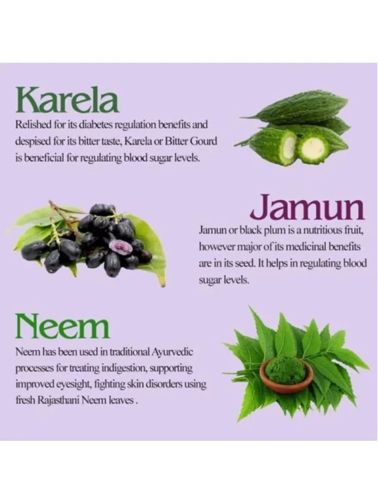 KAYABOOST Neem, Karela, Jamun Powder 400 gm