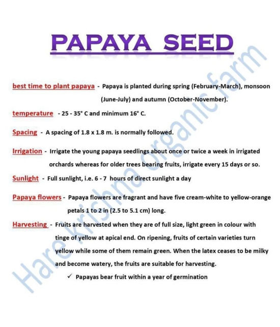 shivam organic seeds Thai Papaya Organic Variety Dwarf Fruit - 50 Seeds + Instruction Manual