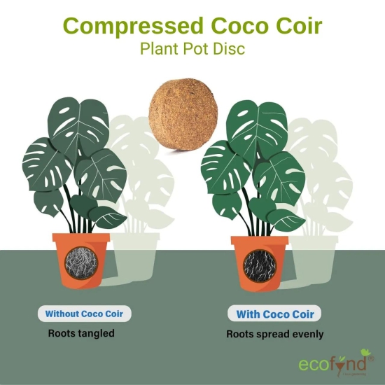 Coir Seedling Coin-20