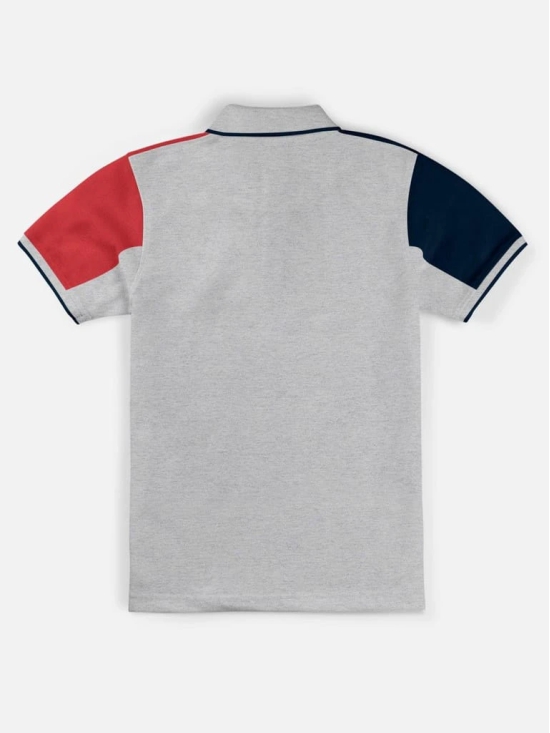 Polo Collar Neck Half Sleeve Cut & Sew Printed T-shirt for Boys