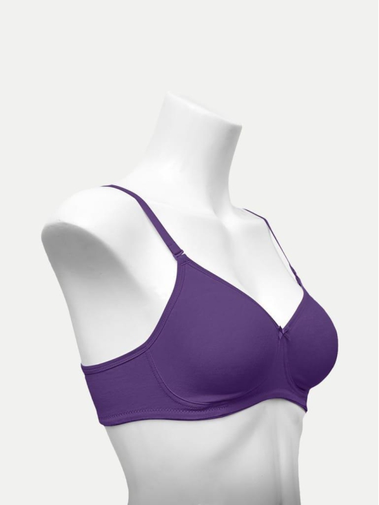 Women Zara Bra Violet Color