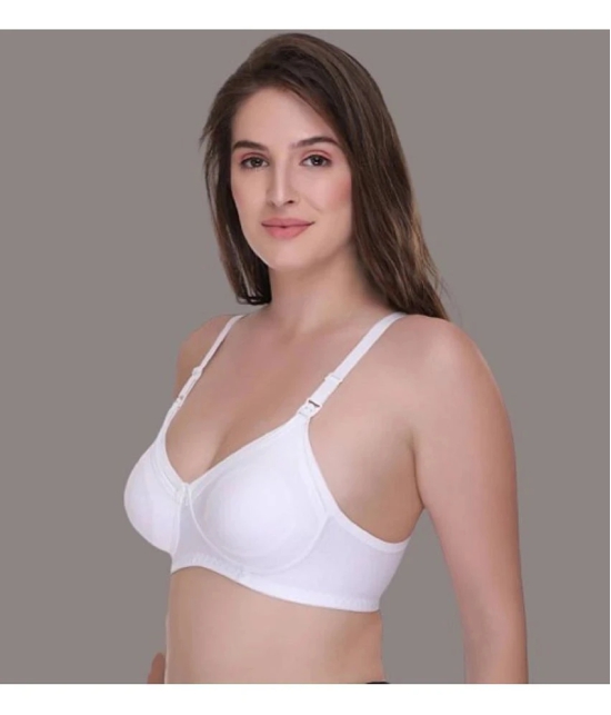 Zourt - White Cotton Solid Womens Maternity Bra ( Pack of 1 ) - 42B