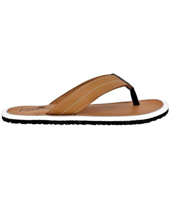 GRASS WALK - Brown Mens Thong Flip Flop - None