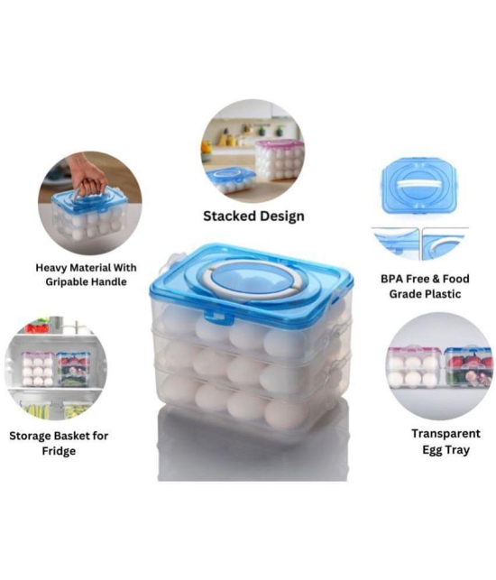 Analog Kitchenware 36 Separator Refrigerator Egg Storage Container/Egg Box/ Egg storage basket with Carry Holder - Light Blue