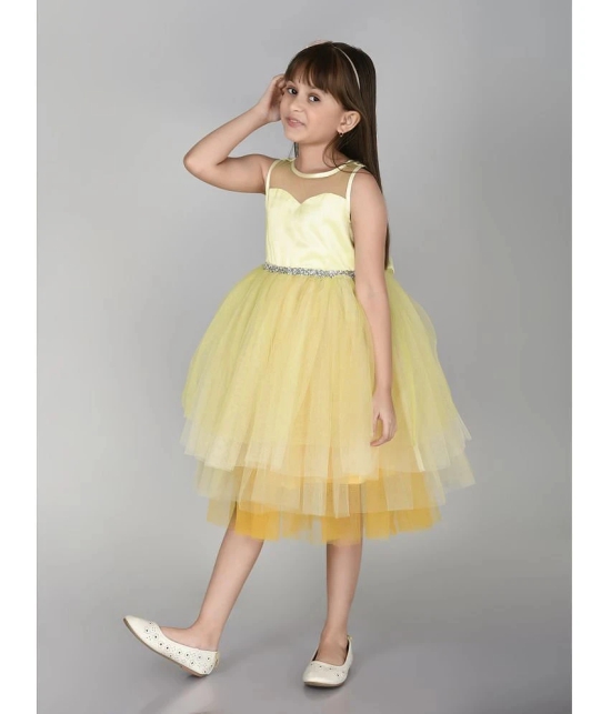 Toy Balloon Kids Lemon Net Girls Frock ( Pack of 1 ) - None