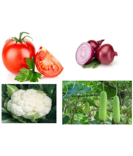 Combo of best quality (Tomato, Onion, Bottle gourd & Cauliflower) Vegetable seeds