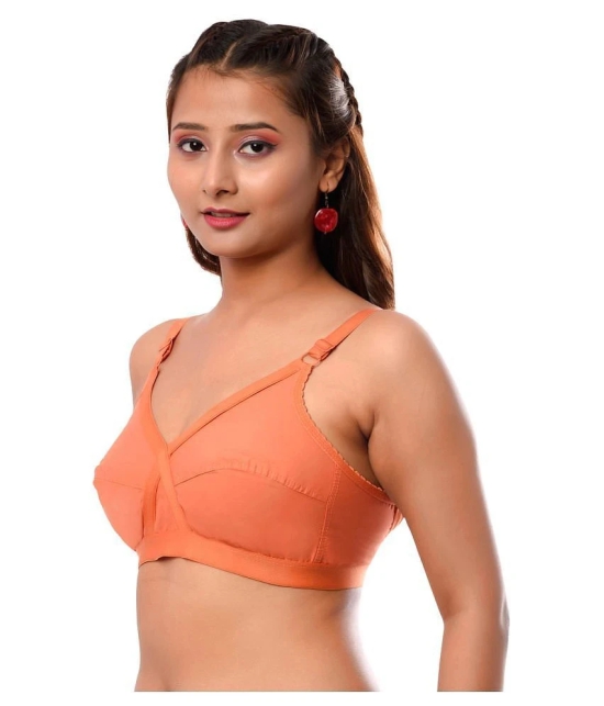 Elina Cotton Everyday Bra - Multi Color Pack of 2 - 42C