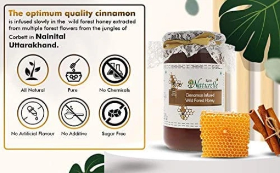 Farm Naturelle-Cinnamon Infused Wild Forest (Jungle) Honey/100% Pure/Raw/Natural/Un-processed/Un-heated/Lab Tested 2.75 Kg -Pet Bottle