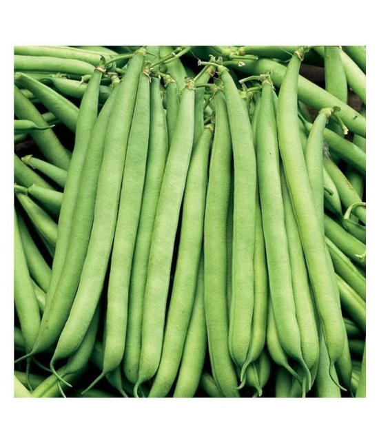 French Beans Seeds (pack of 50)