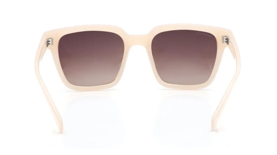 Brown Wayfarer Sunglasses for Unisex