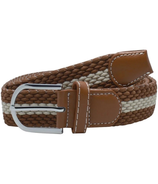 Loopa Brown Nylon Casual Belt Pack of 1 - None