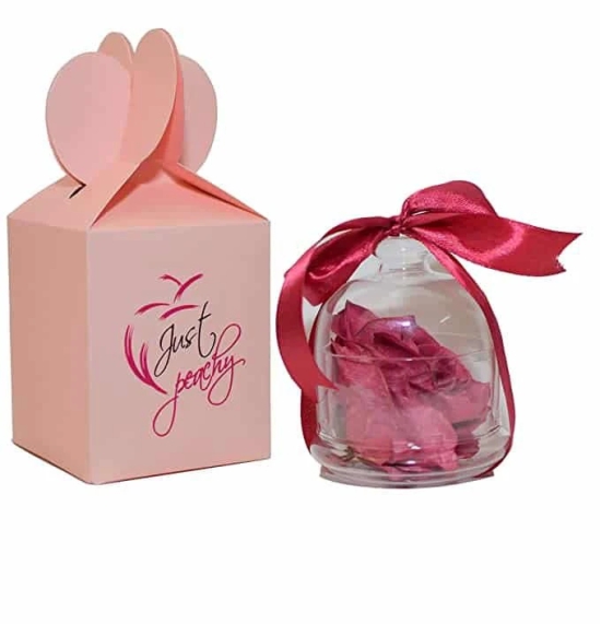 Just Peachy Rose Flower Blush Festive Gift Pack