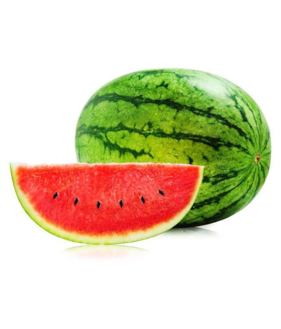 Iris Hybrid Fruit Seeds Watermelon with Instruction Manual