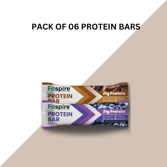PROTEIN BARS (ASSORTED)-Blueberry & Choco Fudge / Pack of 6