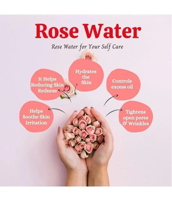 Riyo Herbs Steam Distilled Rose Water for Face 100 ml- Face Toner,Skin Toner & Makeup Remover