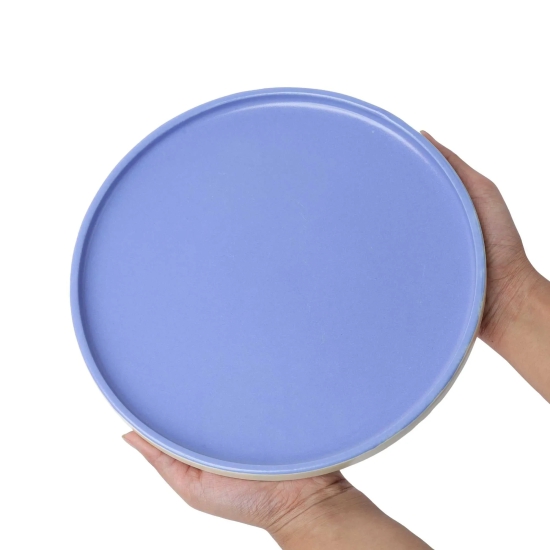 Matte Rim Dinner Plate | Set of 2 Jodhpur Blue