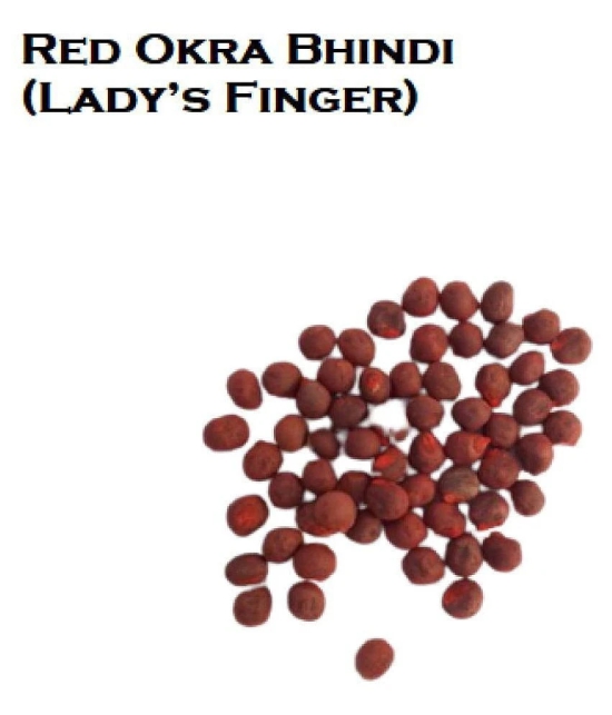 homeagro - Lady Finger Vegetable Seeds (Pack of 50)