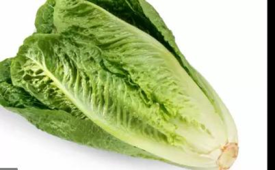 Lettuce - Romaine 150 Gms