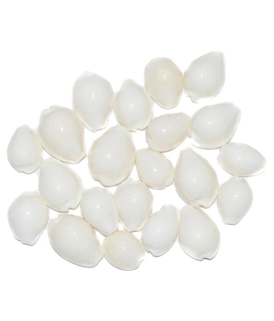 Aksaya Marketing Marble White Kodi Shell - Pack of 21