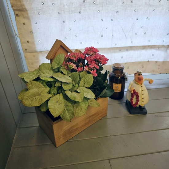 BARISH - Planter Table Top (3 House) | Handcrafted with Rubberwood | Indoor Planter Basket 13 x 10 x 5.5 Inches