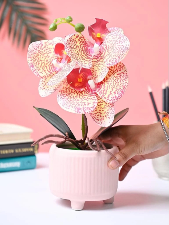 Market99 White Artificial Orchid Flower With Golden Pot