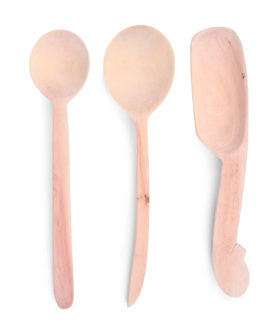 Curry Spoons set