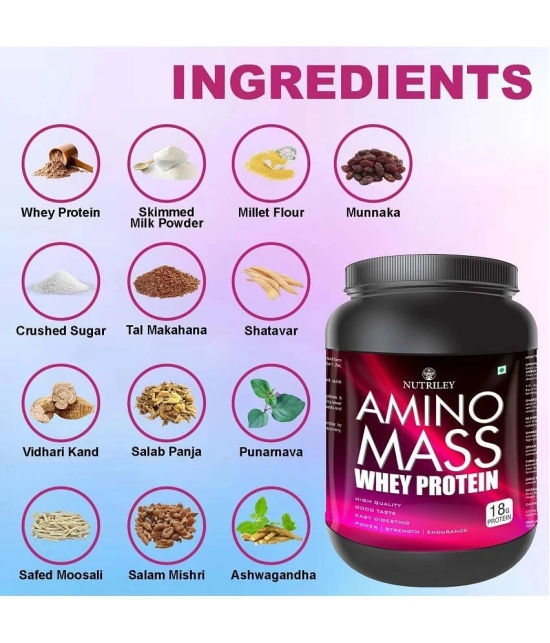 Nutriley Amino Mass Whey Protein ( 500 gm , Banana - Flavour )