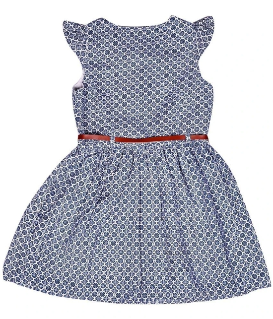 Arshia Fashions Blue Cotton Blend Girls Frock ( Pack of 1 ) - None