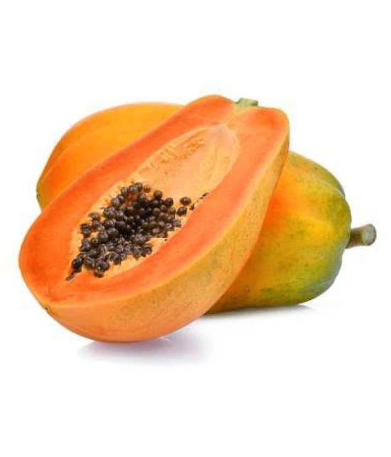 Red Lady Papaya Pack of 40 Seeds + Instruction Manual