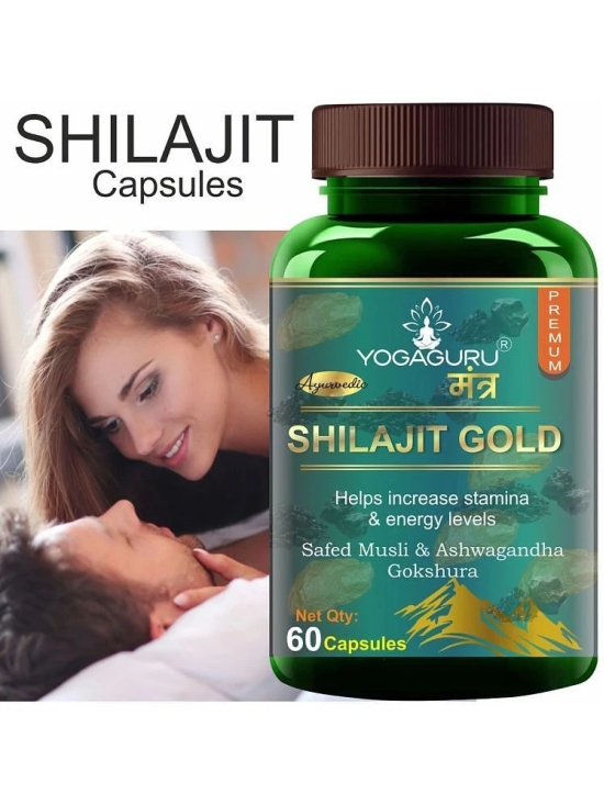 Shilajit Gold | Premium Vitality Ayurvedic Supplement for Men 60 CAPSULES