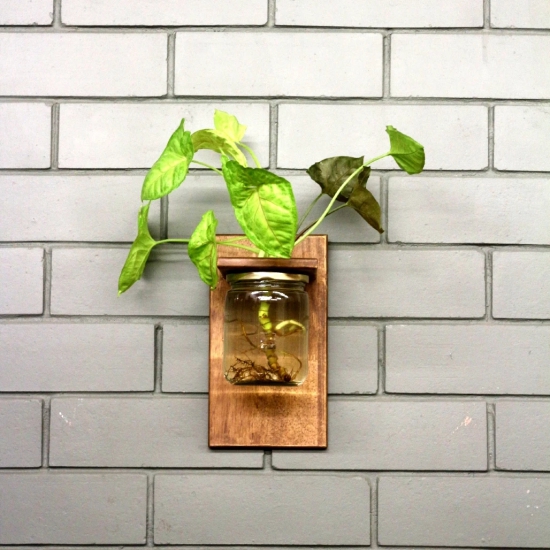 Wall Planter - Single Jar