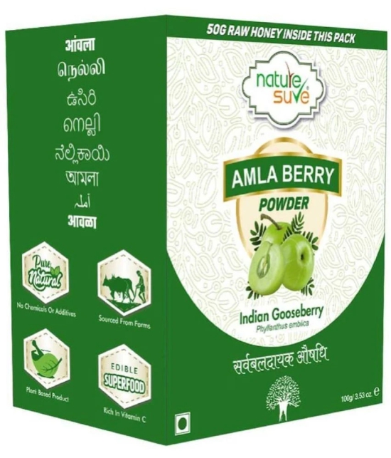 Nature Sure Amla Powder 150 gm