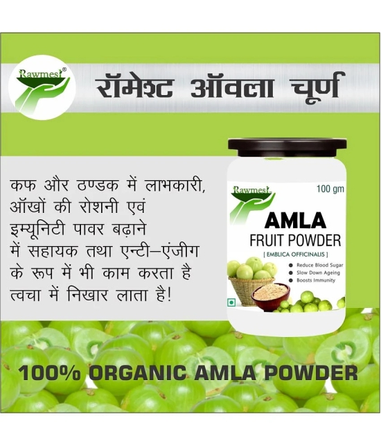 rawmest Amla Powder 100 gm Pack Of 1