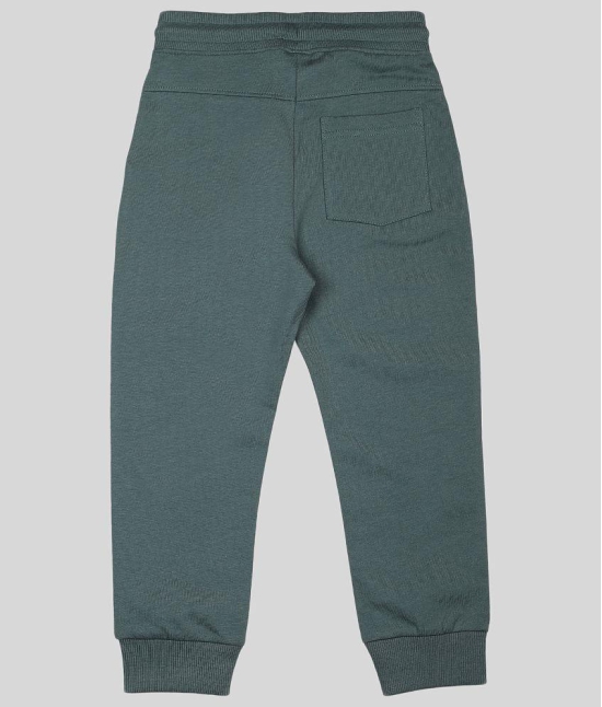 PLUM TREE BOYS GREEN JOGGER TRACK PANT - None