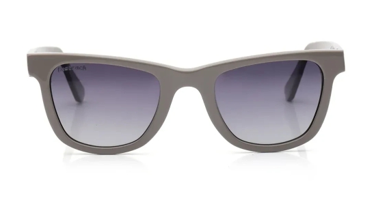 Smoke Wayfarer Sunglasses for Men