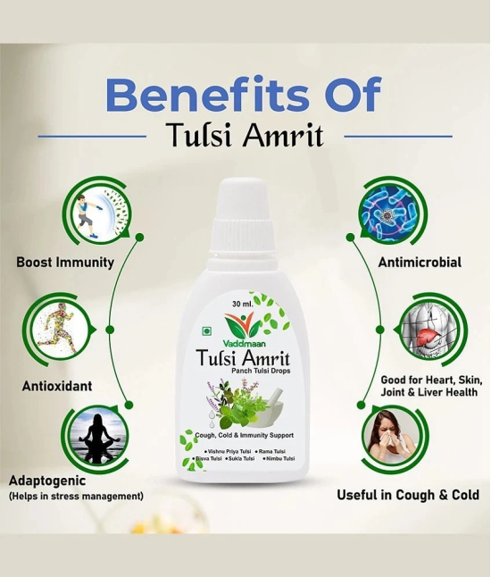 Vaddmaan Tulsi Amrit - 3 x 30 ml - Panch Tulsi Ark Drops - Pure Organic Concentrated Extract of 5 Rare Tulsi for Natural Immunity Boosting & Cough and Cold Relief