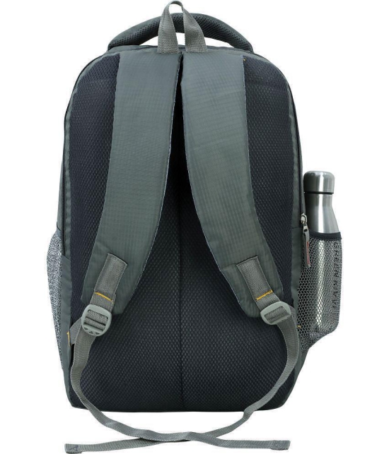 LEXCORP - Grey Polyester Backpack ( 45 Ltrs ) - Grey