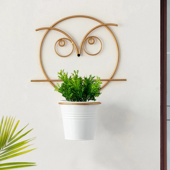 Angry Owl Wall Planter Pot In Galvanized Iron (10 Inch, Brass Finish)