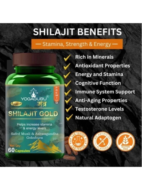 Shilajit Gold | Premium Vitality Ayurvedic Supplement for Men 60 CAPSULES