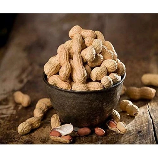 Raw Groundnut with Shell (Organic Peanut) by THE GIR FARMER