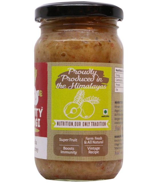 Nutty Yogi Amla Chutney 250 g