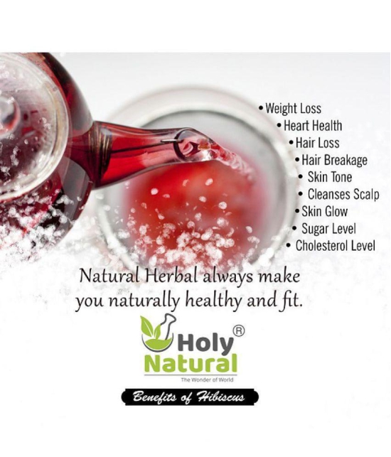 Holy Natural Hibiscus Tea Loose Leaf 100 gm