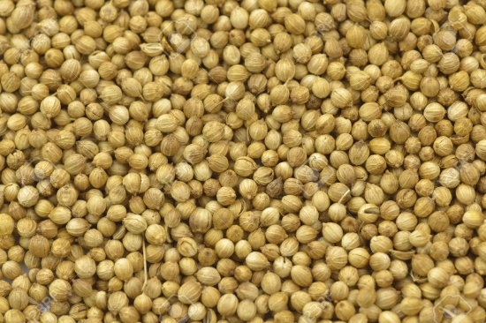 Vattam Coriander Seeds - Whole, 500 Gm