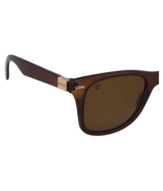 Walrus - Brown Square Sunglasses ( WS-ISC-II-090909D ) - Medium