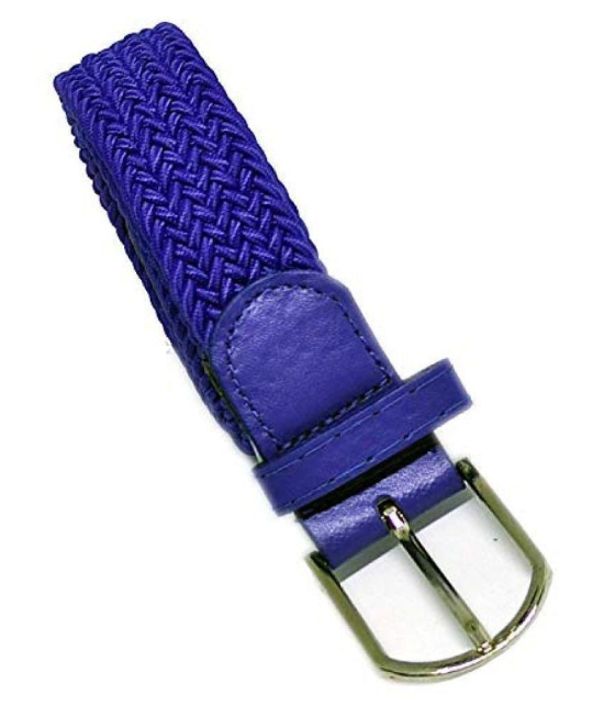 Livisorb - Blue Nylon Men's Casual Belt ( Pack of 1 ) - Free Size