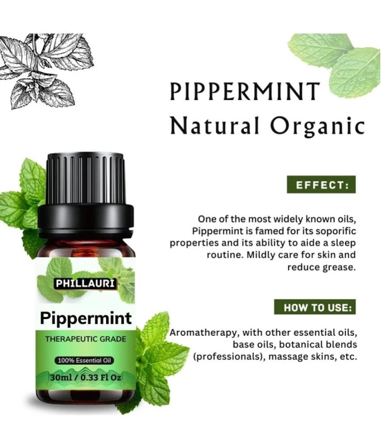 Phillauri Peppermint Others Essential Oil Fruity With Dropper 60 mL ( Pack of 2 )