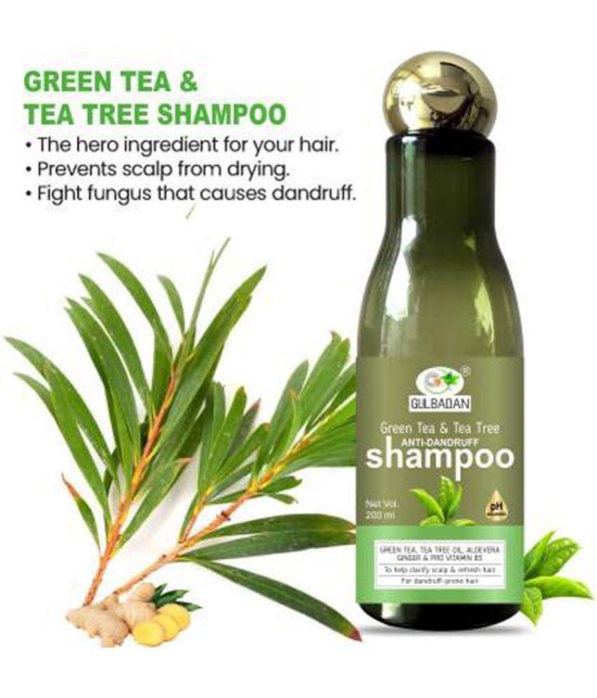 GULBADAN Green Tea & Tea Tree Anti-Dandruff Shampoo Shampoo 200 mL