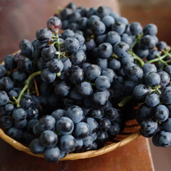 Exotic Black Grapes Fruit Plants